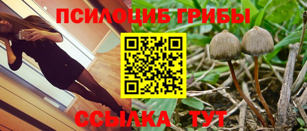 Галлюциногенные грибы Psilocybine cubensis Чайковский